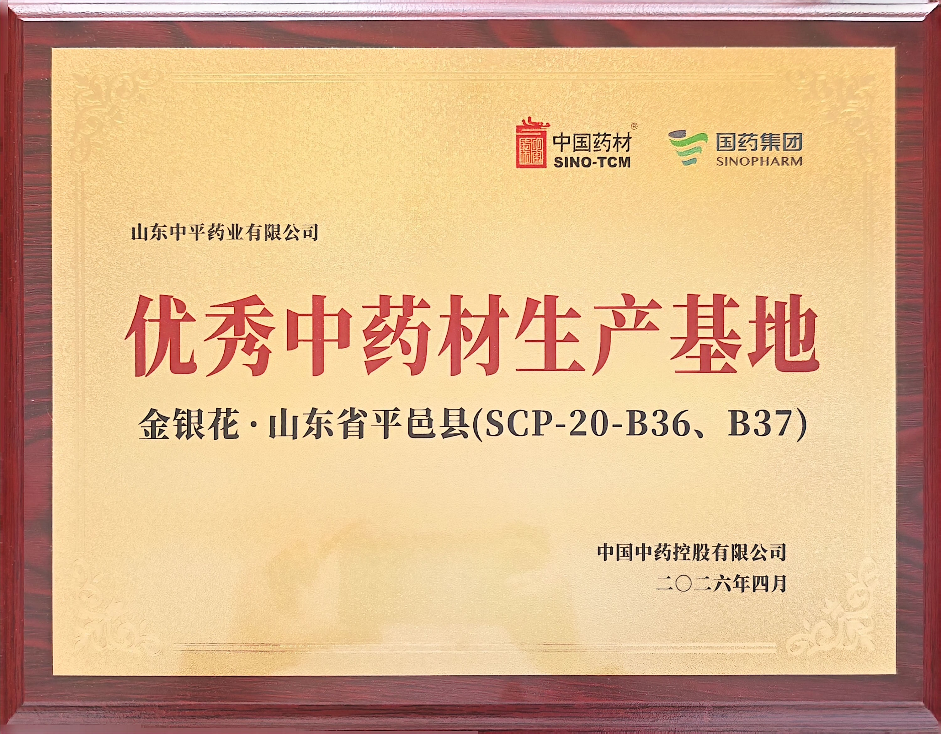 喜报！山东中平获评“优秀中药材生产基地”